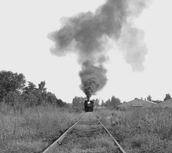 In late afternoon, inbound Mississippian Railway freight train rolls through weed covered rails as it nears yard at Amory, Mississippi, in June 1957. Photograph by J. Parker Lamb, © 2016, Center for Railroad Photography and Art. Lamb-02-028-11
