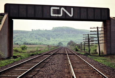 Canadian National Railway at Canadian Pacific Railway tracks in Milton, Ontario, on May 24, 1980. Photograph by John F. Bjorklund, © 2015, Center for Railroad Photography and Art. Bjorklund-37-12-15