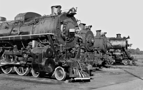 Lineup of stored steamers at Memphis, Tennessee, includes two 0-8-0s and a pair of 4-8-2s in June 1957. Photograph by J. Parker Lamb, © 2016, Center for Railroad Photography and Art. Lamb-02-014-10