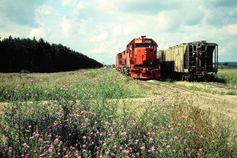 Ann Arbor Railroad freight train in Yuma, Michigan, on July 30, 1982. Photograph by John F. Bjorklund, © 2015, Center for Railroad Photography and Art. Bjorklund-02-22-07