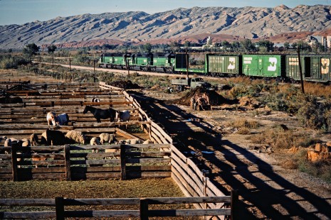 Westbound Burlington Northern Railroad freight train in Greybull, Wyoming, on October 2, 1984. Photograph by John F. Bjorklund, © 2015, Center for Railroad Photography and Art. Bjorklund-13-02-07