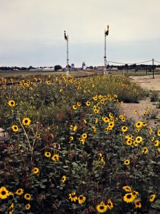Burlington Northern Railroad semaphore signals in Richardton, North Dakota, on July 4, 1980. Photograph by John F. Bjorklund, © 2015, Center for Railroad Photography and Art. Bjorklund-11-11-13