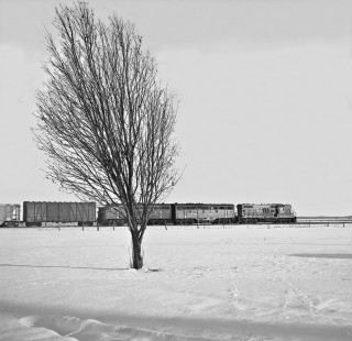 Chicago & Eastern Illinois Railroad freight train leaving Danville, Illinois, bound for Evansville, on a December afternoon in 1959. Photograph by J. Parker Lamb, © 2015, Center for Railroad Photography and Art. Lamb-01-041-06
