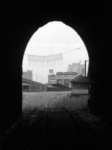 Weeds growing among the tracks of the closed Duluth Union Station on July 27, 1966. Photograph by Wallace W. Abbey, © 2015, Center for Railroad Photography and Art. Abbey-06-058-21
