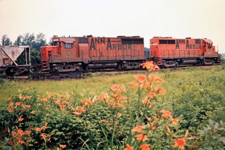 Ann Arbor Railroad freight train past Diann Tower in Dundee, Michigan, on June 30, 1973. Photograph by John F. Bjorklund, © 2015, Center for Railroad Photography and Art. Bjorklund-01-05-14