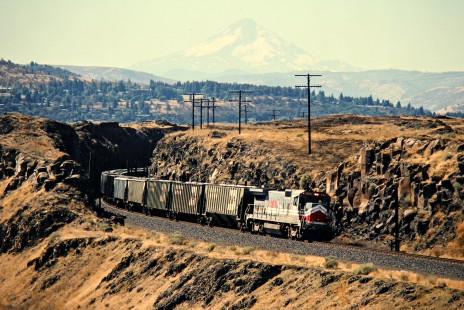 Eastbound Burlington Northern Railroad freight train in Dallesport, Washington, with Mt. Hood in the background on September 14, 1991. Photograph by John F. Bjorklund, © 2015, Center for Railroad Photography and Art. Bjorklund-14-15-10