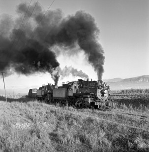 National Railways of Mexico 2-8-0 steam locomotives nos. 263 and 276 on NdeM narrow gauge line near Cuautla, Morelos, Mexico on August 25, 1961. Rose-01-060-04; Photograph by Ted Rose, © 2015, Center for Railroad Photography and Art