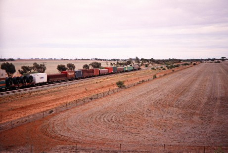 A Great Southern Rail freight train passes a farm field near Port Augusta, South Australia, Australia, on April 12, 2003.  Photograph by Fred M. Springer, © 2014, Center for Railroad Photography and Art. Springer-Australia-NZ(2)-01-32