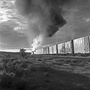 National Railways of Mexico 2-8-2 steam locomotive nos. 2209 (helper) and 2203 (road) pull southbound freight train up the grade to Zacatecas, State of Zacatecas, Mexico on August 17, 1961. Both engines are former Nickel Plate Road locomotives. Rose-01-055-12; Photograph by Ted Rose,  © 2015, Center for Railroad Photography and Art