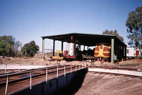 Lachlan Valley Railway Center exhibits the remains of the Cowra locomotive depot including former diesel switch locomotive no. 4202 and a large turntable in Cowra, New South Wales, Australia, on April 12, 2006. Photograph by Fred M. Springer, © 2014, Center for Railroad Photography and Art. Springer-Mexico-Australia-16-17