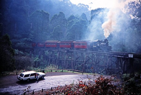 Two car passengers stop to view Puffing Billy Railway steam locomotive no. 1694 (built by Climax Locomotive Works) cross the bridge in Melbourne, Victoria, Australia, on April 5, 1997. Photograph by Fred M. Springer, © 2014, Center for Railroad Photography and Art. Springer-Australia-UK-12-20