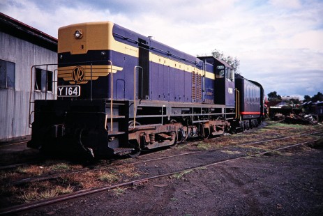 Australian Railway Historical Society (ARHS) Museum in Williamstown and Victorian Railways (VR) diesel locomotive no. Y164 on display, in Williamstown, Victoria, Australia, on April 3, 1997. Photograph by Fred M. Springer, © 2014, Center for Railroad Photography and Art. Springer-Australia-UK-10-17