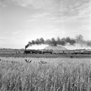 National Railways of Mexico 2-8-2 steam locomotive no. 2123 leads an eastbound freight train near Apizaco, Tlaxcala, Mexico on August 26, 1961. Rose-01-091-05; Photograph by Ted Rose, © 2015, Center for Railroad Photography and Art