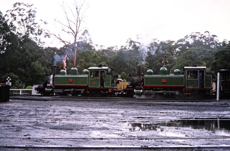 Puffin Billy Railway steam locomotives nos. 7A and 6A on the Walhalla Goldfields Railroad in Gippsland, Victoria, Australia, on April 7, 2006. Photograph by Fred M. Springer, © 2014, Center for Railroad Photography and Art. Springer-Mexico-Australia-13-35