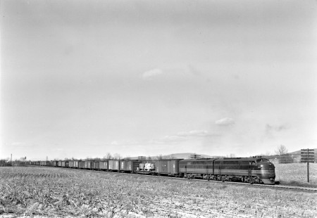 Reading Company FT diesel locomotive no. 251 pulling a westbound freight train at Allentown, Pennsylvania, in 1950. Photograph by Donald W. Furler,  © 2017, Center for Railroad Photography and Art, Furler-15-070-01