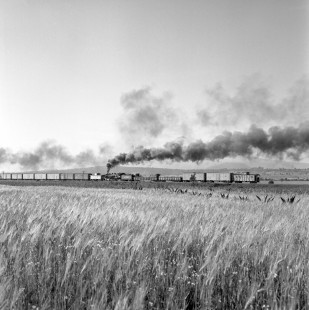 National Railways of Mexico steam locomotive no. 2141 leads last four cars and caboose of eastbound freight train near Apizaco in the state of Tlaxcala, Mexico on August 28, 1961. Rose-01-091-12; Photograph by Ted Rose, © 2018, Center for Railroad Photography and Art