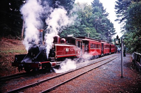 Puffing Billy Railway steam locomotive no. 14A releases a cloud of steam as it comes to a stop in the Dandenong Ranges of Melbourne, Victoria, Australia, on April 5, 1997. Photograph by Fred M. Springer, © 2014, Center for Railroad Photography and Art.Springer-Australia-UK-12-03