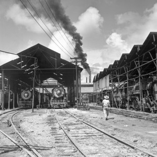 National Railways of Mexico steam locomotive no. 1556 and others at roundhouse stalls and turntable located in Tierra Blanca, Veracruz, Mexico on August 29, 1961. Photograph by Ted Rose, Rose-01-089-04; Photograph by Ted Rose, © 2015, Center for Railroad Photography and Art