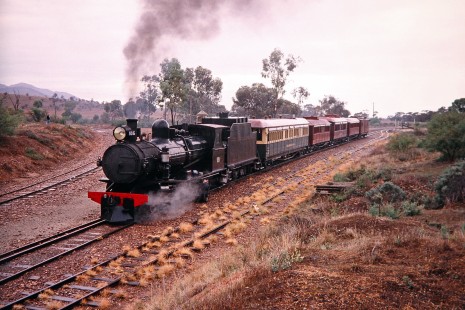 Pichi Pichi Railway steam locomotive no. 186 in Woolshed Flat, South Australia, Australia, on April 13, 2003. The heritage line is operated and maintained by the Pichi Richi Railway Preservation Society.  Photograph by Fred M. Springer, © 2014, Center for Railroad Photography and Art. Springer-Australia-NZ(2)-02-26