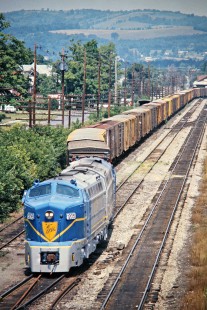 Westbound Delaware and Hudson Railway freight train on Lehigh Railroad track in Sayre, Pennsylvania, on July 23, 1975. Photograph by John F. Bjorklund, © 2016, Center for Railroad Photography and Art. Bjorklund-56-07-16