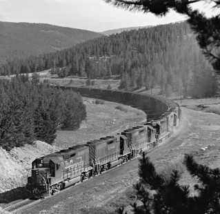 Eastbound Denver and Rio Grande Western Railroad coal train approaches summit tunnel on Tennessee Pass in June 1981. Photograph by J. Parker Lamb, © 2017, Center for Railroad Photography and Art. Lamb-02-096-09