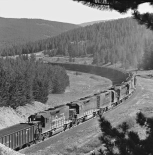 Eastbound Denver and Rio Grande Western Railroad coal train with mid-train helper locomotives approaches summit tunnel on Tennessee Pass in June 1981. Photograph by J. Parker Lamb, © 2017, Center for Railroad Photography and Art. Lamb-02-096-10