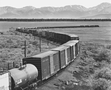 Southbound Denver and Rio Grande Western Railroad manifest freight train heading downgrade near Leadville, Colorado, in July 1980. Photograph by J. Parker Lamb, © 2017, Center for Railroad Photography and Art. Lamb-02-097-09