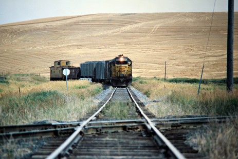 Southbound Union Pacific Railroad freight train at Burlington Northern Railroad crossing in Oakesdale, Washington, on August 11, 1978. Photograph by John F. Bjorklund, © 2016, Center for Railroad Photography and Art. Bjorklund-89-19-08