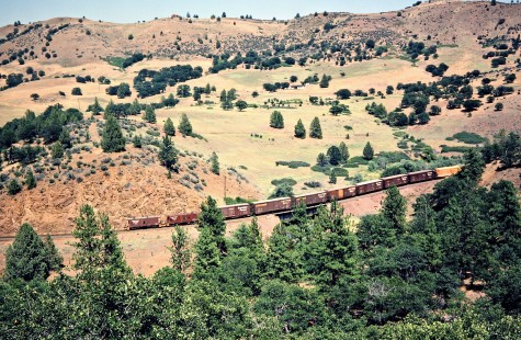 Westbound Southern Pacific Railroad freight train in Klamath, California, on July 20, 1982. Photograph by John F. Bjorklund, © 2016, Center for Railroad Photography and Art. Bjorklund-85-25-18