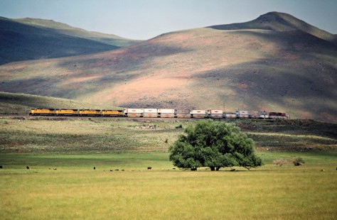 Eastbound Union Pacific Railroad freight train near Crooks, Oregon, on June 27, 1988. Photograph by John F. Bjorklund, © 2016, Center for Railroad Photography and Art. Bjorklund-91-11-17
