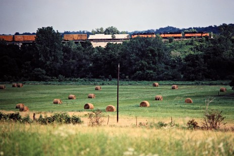 Westbound Milwaukee Road freight train at Elmira, Missouri, on July 9, 1981. Photograph by John F. Bjorklund, © 2016, Center for Railroad Photography and Art. Bjorklund-68-29-02