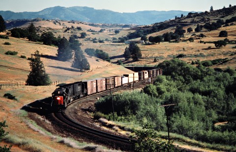 Westbound Southern Pacific Railroad freight train near Klamath, California, on June 22, 1984. Photograph by John F. Bjorklund, © 2016, Center for Railroad Photography and Art. Bjorklund-86-19-06