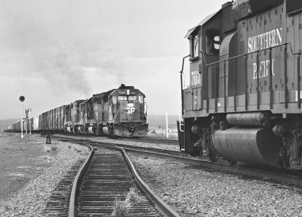 Southbound Southern Pacific Railroad "Blue Streak Merchandise" train (on right) meets counterpart at Tularosa, New Mexico, in April 1987. Photograph by J. Parker Lamb, © 2017, Center for Railroad Photography and Art. Lamb-02-092-07