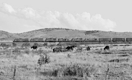 Active ranch horses have no interest in westbound Southern Pacific Railroad manifest freight train west of Valentine, Texas, in April 1985. Photograph by J. Parker Lamb, © 2017, Center for Railroad Photography and Art. Lamb-02-088-03