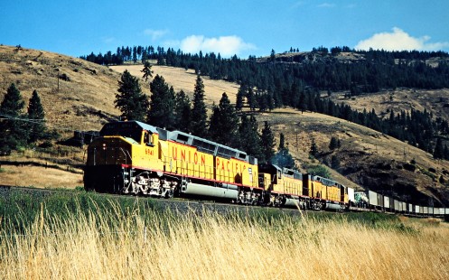 Westbound Union Pacific Railroad freight train in Perry, Oregon, on August 14, 1978. Photograph by John F. Bjorklund, © 2016, Center for Railroad Photography and Art. Bjorklund-89-22-03