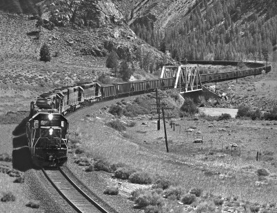 Eastbound Denver and Rio Grande Western Railroad coal train approaches Buena Vista, Colorado, en route to Pueblo in July 1980. Photograph by J. Parker Lamb, © 2017, Center for Railroad Photography and Art. Lamb-02-096-03