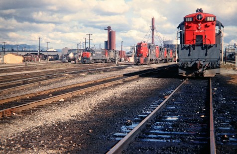 Southern Pacific Railroad locomotives on the ready track at San Jose, California, in April 1967. Photograph by John F. Bjorklund, © 2016, Center for Railroad Photography and Art. Bjorklund-84-01-08