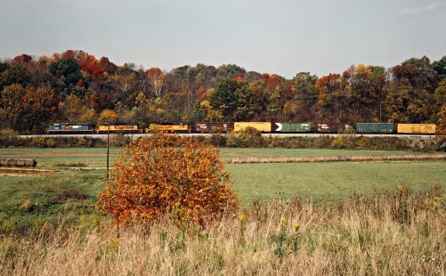 Southbound Seaboard System Railroad freight train near Sulphur, Kentucky, on October 12, 1985. Photograph by John F. Bjorklund, © 2016, Center for Railroad Photography and Art. Bjorklund-71-14-07