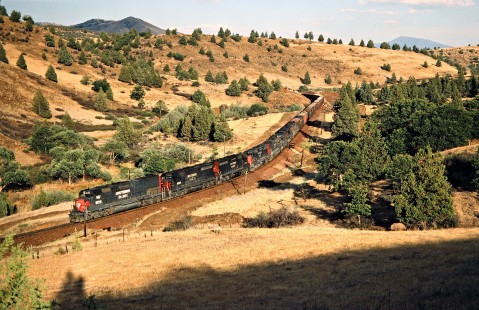 Eastbound Southern Pacific Railroad freight train in Hornbrook, California, on July 24, 1979. Photograph by John F. Bjorklund, © 2016, Center for Railroad Photography and Art. Bjorklund-85-13-12