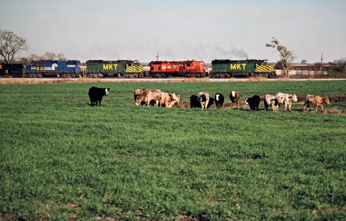 Southbound Missouri–Kansas–Texas Railroad freight train near Whitewright, Texas, on November 28, 1980. Photograph by John F. Bjorklund, © 2016, Center for Railroad Photography and Art. Bjorklund-70-04-08