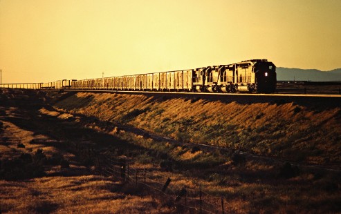 Eastbound Union Pacific Railroad freight train in Sebree, Idaho, on June 29, 1984. Photograph by John F. Bjorklund, © 2016, Center for Railroad Photography and Art. Bjorklund-90-14-17