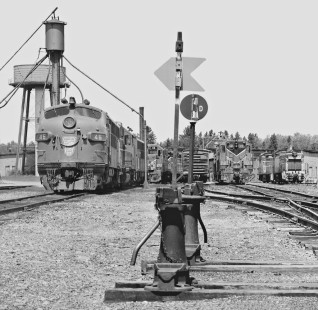 Bangor and Aroostook Railroad locomotive lineup at Oak Field, Maine, in June 1980. Photograph by J. Parker Lamb, © 2017, Center for Railroad Photography and Art. Lamb-02-117-03