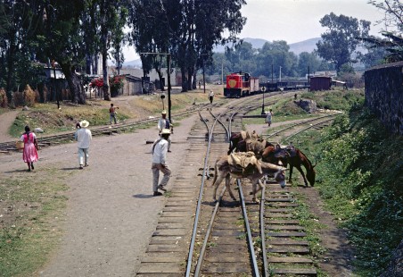 Burros cross the tracks at the village of Atlixco along the National Railways of Mexico narrow-gauge line between Puebla and Mexico City in May 1968. Photograph by Fred M. Springer, © 2016, Center for Railroad Photography and Art. Springer-Mexico1-24-14