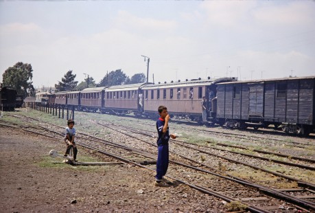 Syrian Railways locomotive pulls several passenger cars filled with people as two young boys watch trackside in Daraa, Daraa, Syria on July 19, 1991. Photograph by Fred M. Springer, © 2014, Center for Railroad Photography and Art. Springer-Hedjaz-ZimZam(1)-08-32