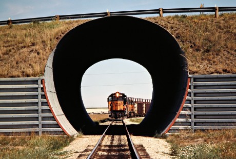 Milwaukee Road coal train in Gascoyne, North Dakota, on July 10, 1980. Photograph by John F. Bjorklund, © 2016, Center for Railroad Photography and Art. Bjorklund-68-21-13