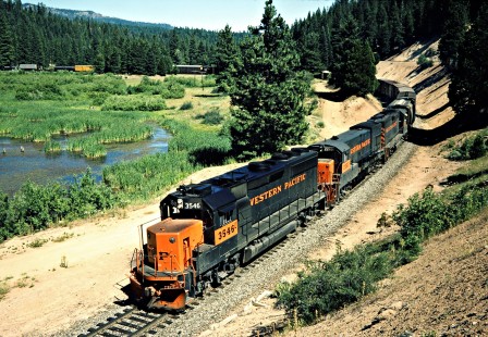 Westbound Western Pacific Railroad freight train at Williams Loop in Spring Garden, California, on July 22, 1982. Photograph by John F. Bjorklund, © 2016, Center for Railroad Photography and Art. Bjorklund-93-11-10