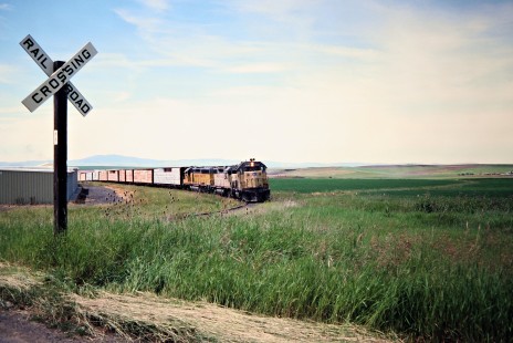 Westbound Camas Prairie Railroad freight train, owned and operated by Burlington Northern Railroad and Union Pacific Railroad, at Grangeville, Idaho, on July 1, 1988. Photograph by John F. Bjorklund, © 2016, Center for Railroad Photography and Art. Bjorklund-93-19-23