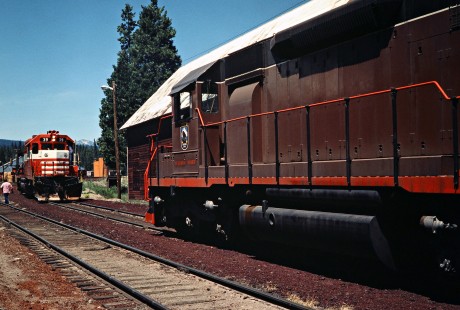 McCloud River Railroad yard at McCloud, California, on June 22, 1984. Photograph by John F. Bjorklund, © 2016, Center for Railroad Photography and Art. Bjorklund-93-14-02