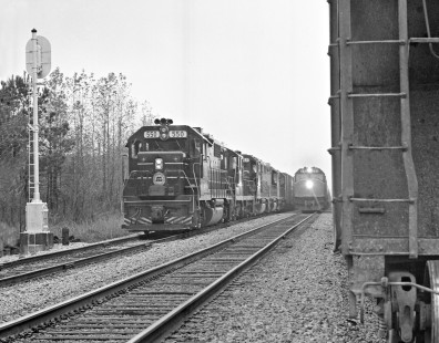 Amtrak passenger train passes northbound Seaboard Coast Line Railroad freight train north of Rocky Mount, North Carolina, in late 1967. Photograph by J. Parker Lamb, © 2017, Center for Railroad Photography and Art. Lamb-02-119-05