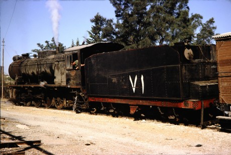 Hedjaz Jordan Railway 2-8-2 steam locomotive no. 71 in Amman, Jordan, on July 15, 1991. Photograph by Fred M. Springer, © 2014, Center for Railroad Photography and Art. Springer-Hedjaz-ZimZam(1)-02-33